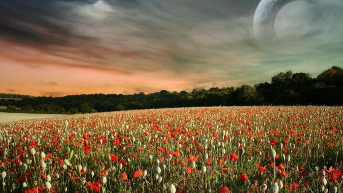 既然C#等开源语言，为啥***le还要弄个基本上一模一样的Swift？